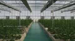 安陽內黃科技博覽園工程案例